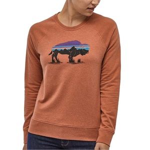 Patagonia Fitz Roy Bison Crewneck Sweater